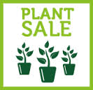 plant sale2